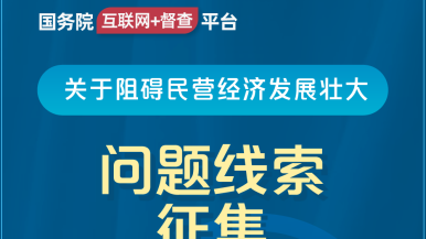 骚女被插逼插爆国务院“互联网+督查”平台公开征集阻碍民营经济发展壮大问题线索